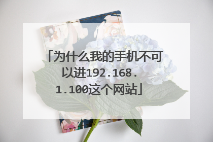 为什么我的手机不可以进192.168.1.100这个网站
