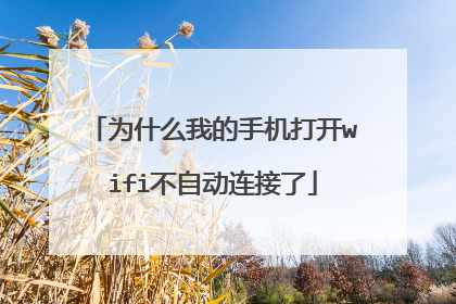 为什么我的手机打开wifi不自动连接了