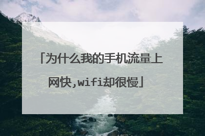 为什么我的手机流量上网快,wifi却很慢