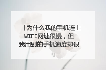 为什么我的手机连上WIFI网速很慢，但我用别的手机速度却很正常（没有人蹭网）
