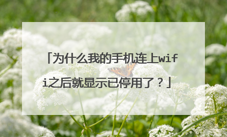 为什么我的手机连上wifi之后就显示已停用了？