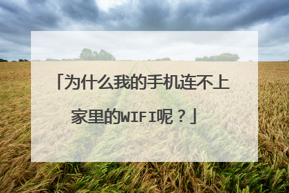 为什么我的手机连不上家里的WIFI呢？