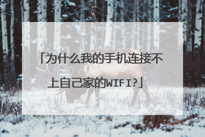 为什么我的手机连接不上自己家的WIFI?