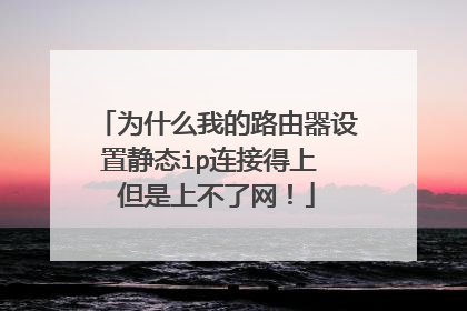 为什么我的路由器设置静态ip连接得上 但是上不了网！