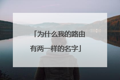 为什么我的路由有两一样的名字