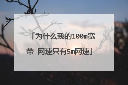 为什么我的100m宽带 网速只有5m网速
