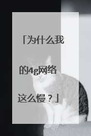 为什么我的4g网络这么慢?