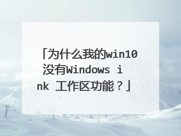为什么我的win10没有Windows ink 工作区功能？