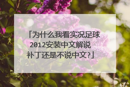 为什么我看实况足球2012安装中文解说补丁还是不说中文?