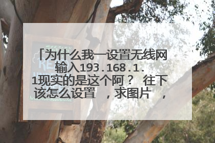 为什么我一设置无线网 输入193.168.1.1现实的是这个阿? 往下该怎么设置 ,求图片 ,谢谢。弄了好多天了