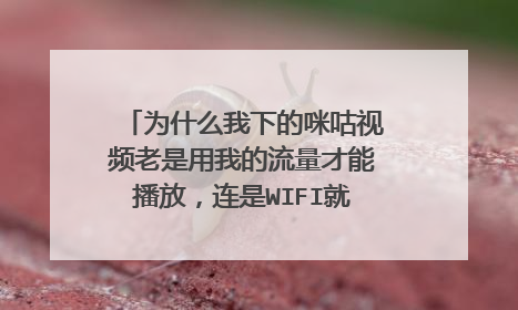 为什么我下的咪咕视频老是用我的流量才能播放,连是WIFI就播放不了,咋回事啊