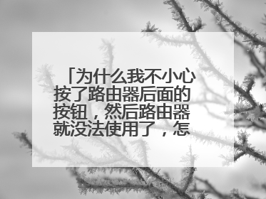 为什么我不小心按了路由器后面的按钮,然后路由器就没法使用了,怎么办?