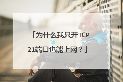 为什么我只开TCP21端口也能上网？