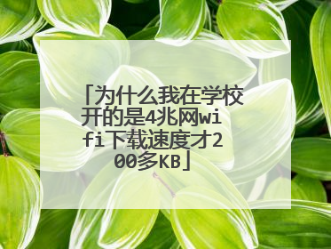 为什么我在学校开的是4兆网wifi下载速度才200多KB