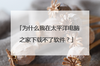 为什么我在太平洋电脑之家下载不了软件?