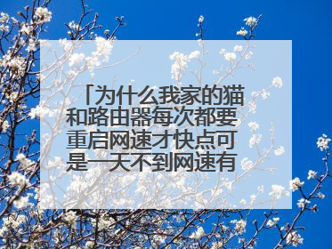 为什么我家的猫和路由器每次都要重启网速才快点可是一天不到网速有慢下来了又要重启了是怎么回事？
