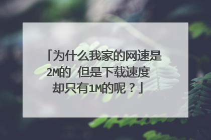 为什么我家的网速是2M的 但是下载速度却只有1M的呢?