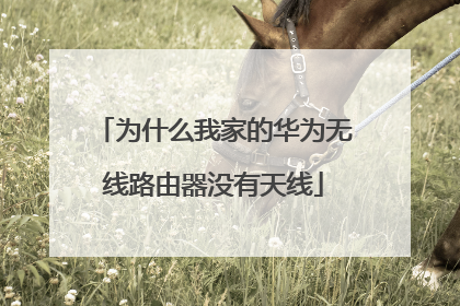 为什么我家的华为无线路由器没有天线