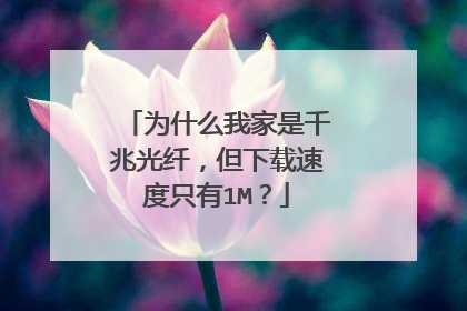 为什么我家是千兆光纤,但下载速度只有1M?