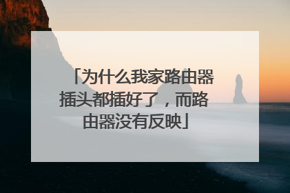 为什么我家路由器插头都插好了，而路由器没有反映