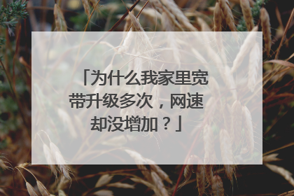 为什么我家里宽带升级多次，网速却没增加？