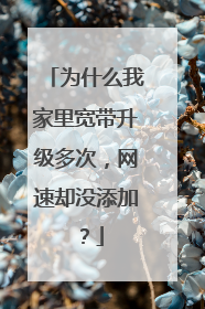 为什么我家里宽带升级多次,网速却没添加?