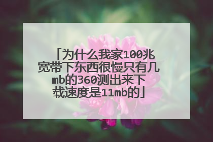 为什么我家100兆宽带下东西很慢只有几mb的360测出来下载速度是11mb的