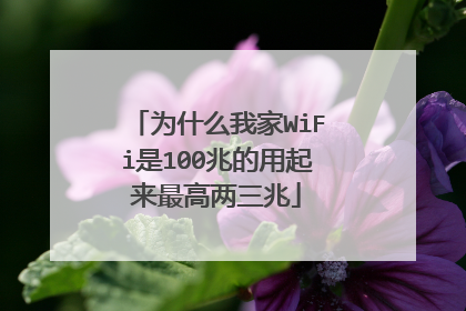 为什么我家WiFi是100兆的用起来最高两三兆