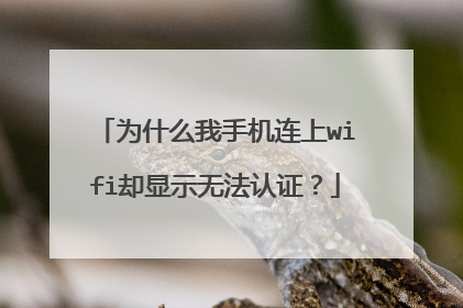 为什么我手机连上wifi却显示无法认证？