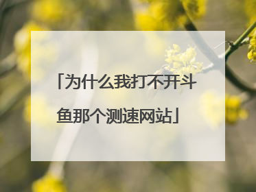 为什么我打不开斗鱼那个测速网站