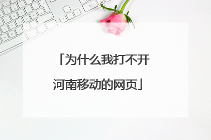 为什么我打不开河南移动的网页