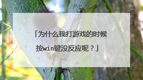 为什么我打游戏的时候按win键没反应呢?