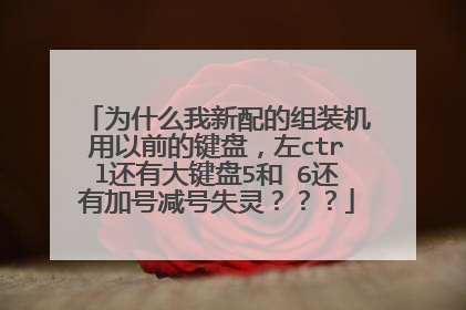 为什么我新配的组装机用以前的键盘，左ctrl还有大键盘5和 6还有加号减号失灵？？？