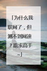 为什么我联网了,但测不到网速?跪求高手~