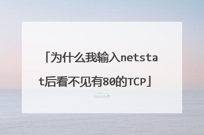 为什么我输入netstat后看不见有80的TCP