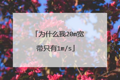 为什么我20m宽带只有1m/s