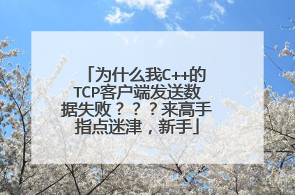 为什么我C++的TCP客户端发送数据失败???来高手指点迷津,新手