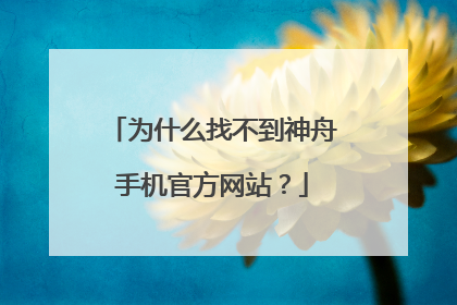 为什么找不到神舟手机官方网站?