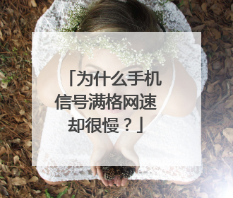 为什么手机信号满格网速却很慢？