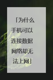 为什么手机可以连接数据网络却无法上网