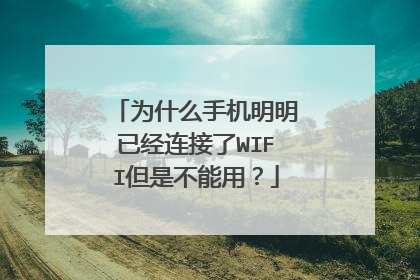 为什么手机明明已经连接了WIFI但是不能用？