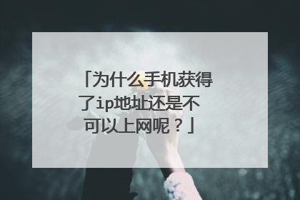 为什么手机获得了ip地址还是不可以上网呢？