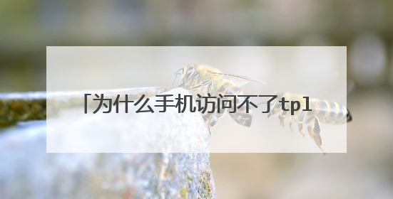 为什么手机访问不了tplogin.cn的页面?