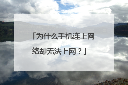 为什么手机连上网络却无法上网？
