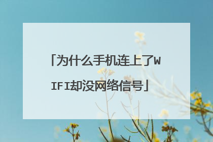 为什么手机连上了WIFI却没网络信号