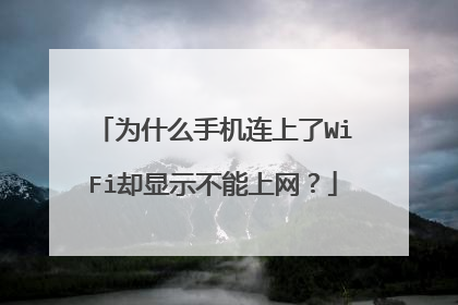 为什么手机连上了WiFi却显示不能上网？