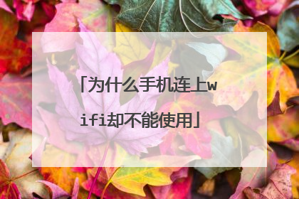 为什么手机连上wifi却不能使用
