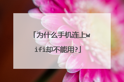 为什么手机连上wifi却不能用?