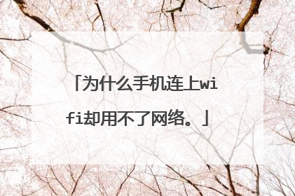 为什么手机连上wifi却用不了网络。