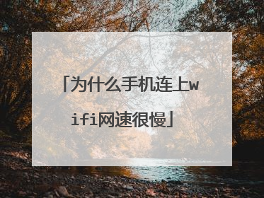 为什么手机连上wifi网速很慢